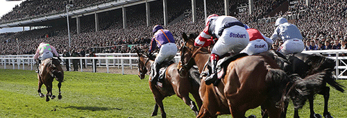 Cheltenham Controversies and Memorable Moments Cheltenham Festival facts, stats, controversies and memorable moments