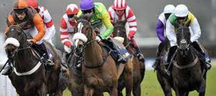 King George VI Chase Learn more about the King George VI Chase