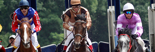 Tote is known for its emphasis on horse racing