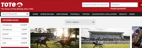 Enjoy Tote's easy-to-navigate site and Tipster section