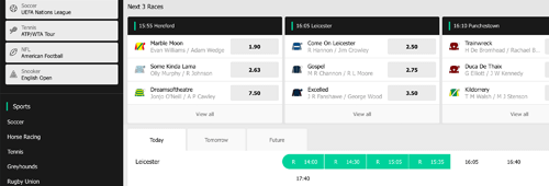 Bet on distinctive promotions and broad range of betting markets at MoPlay.