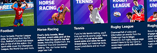 Bet on a range of sports